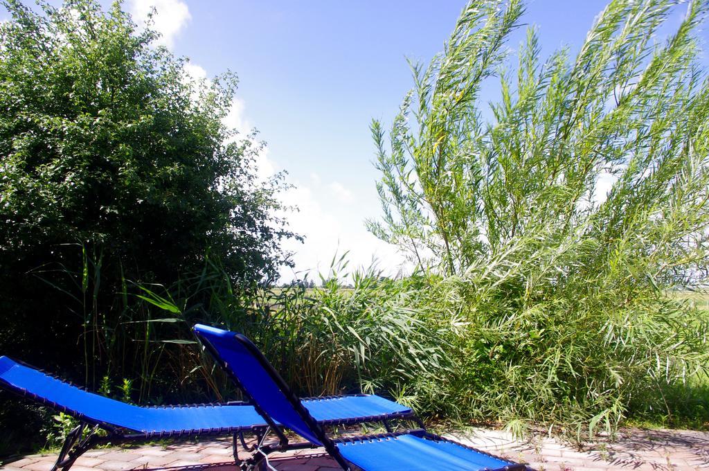 Wiesenblick Pellworm Quarto foto